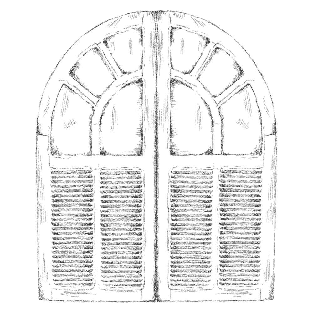 Black and white drawing of windowshades