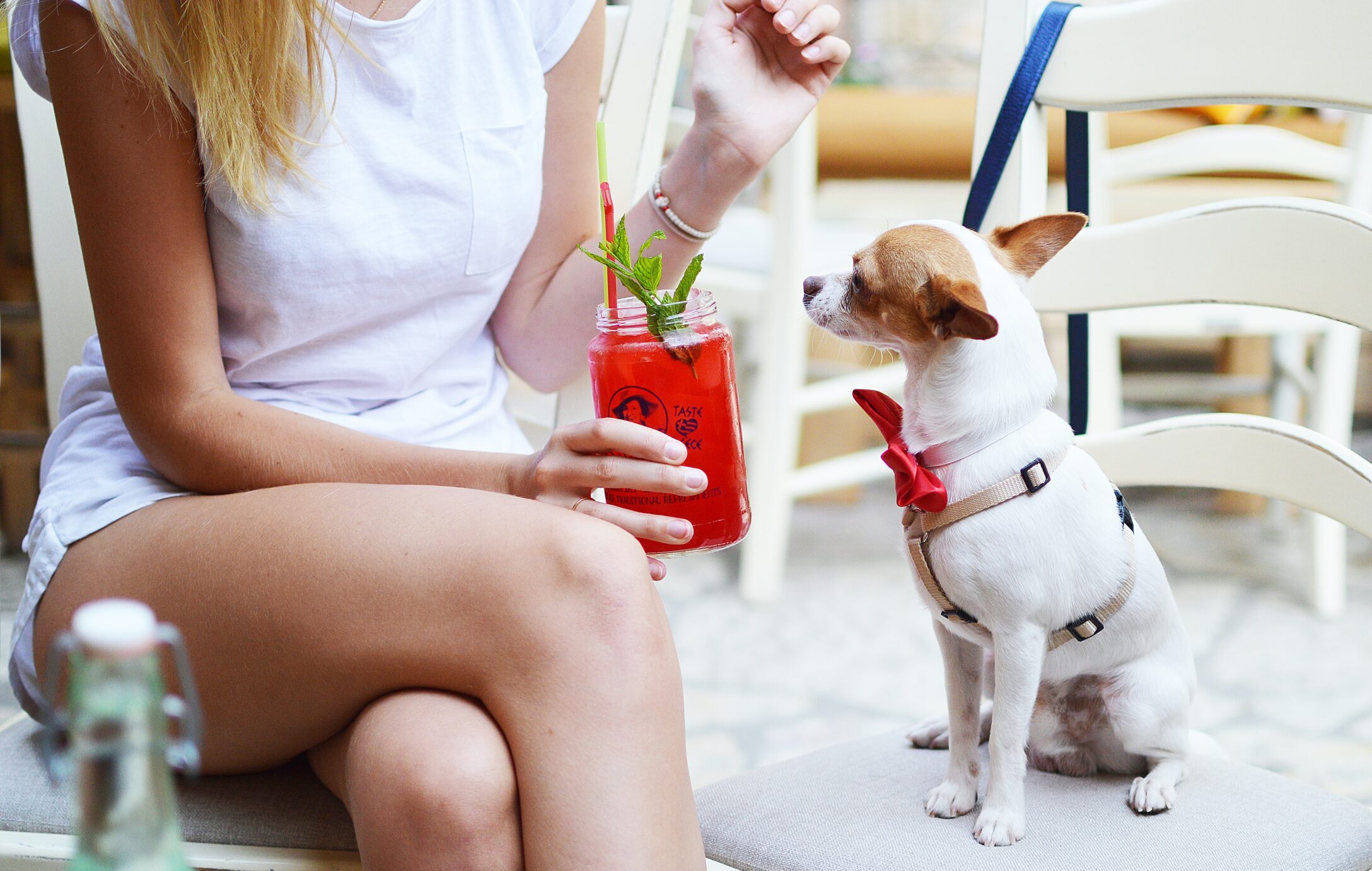 Woman sitting at an outdoor café holding a red cocktail while a small dog wearing a bow tie looks up attentively