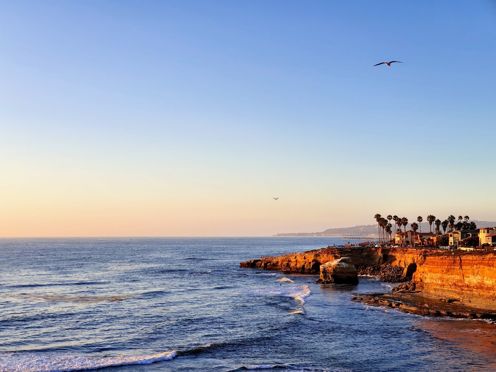 Coastal cliffs overlooking the ocean at golden hour with palm trees and seabirds under a clear evening sky