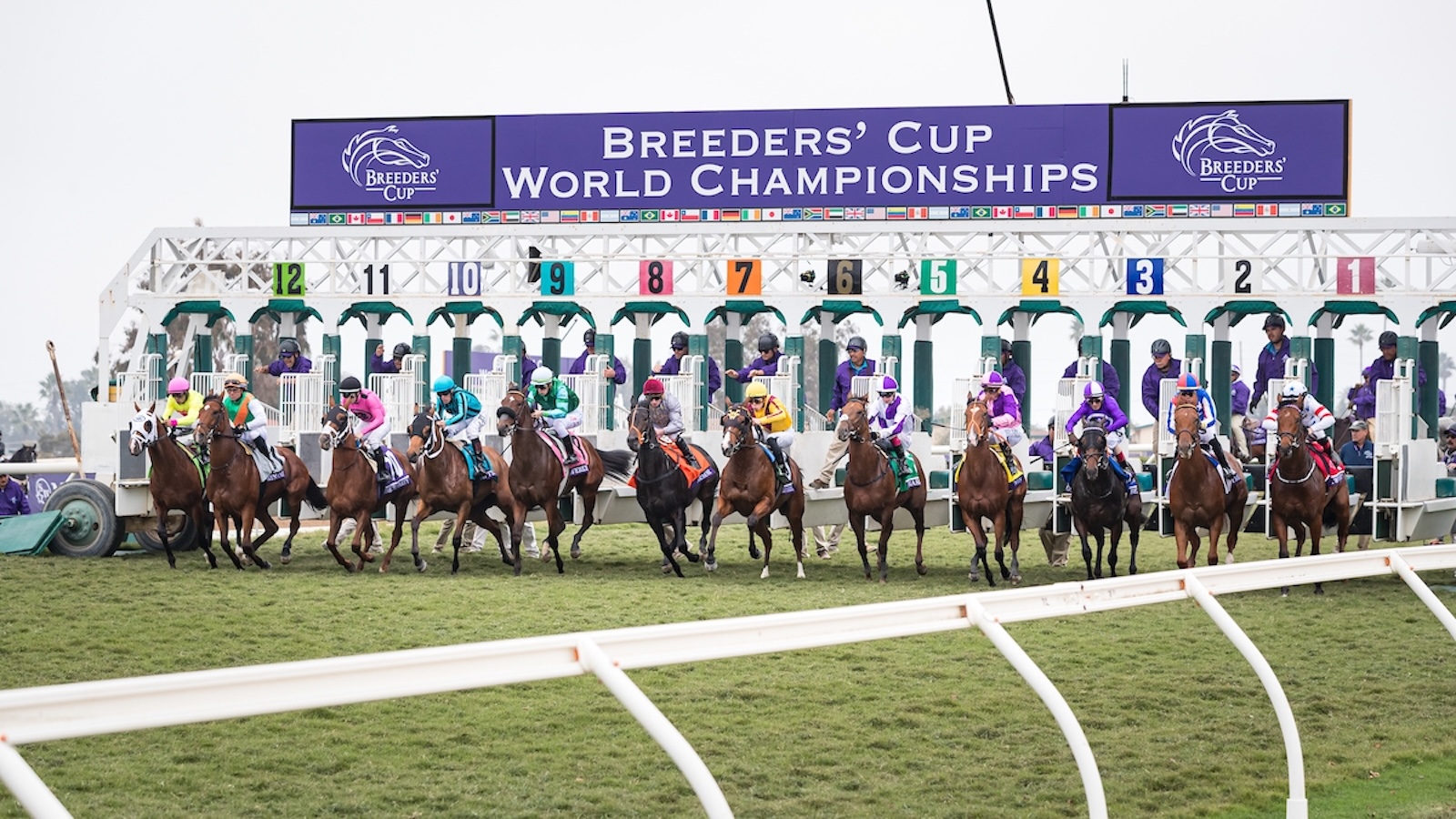 Thoroughbred horses and jockeys breaking from the starting gate at the Breeders’ Cup World Championships horse race