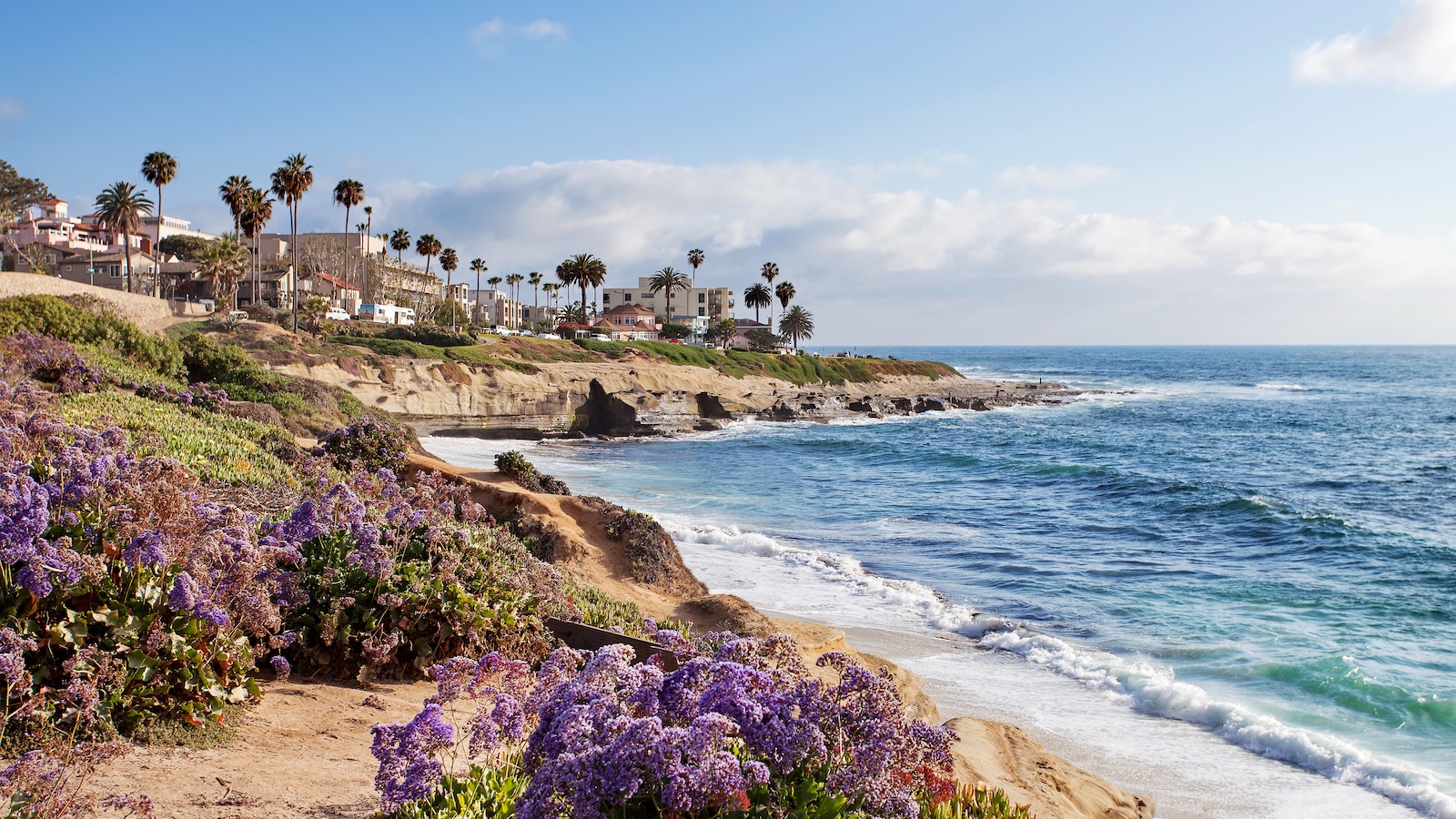 Coastal ocean view with rocky shoreline, purple wildflowers, and palm trees overlooking a sunny seaside neighborhood