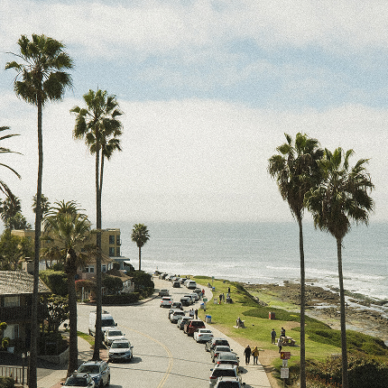 Palm-lined coastal road beside the ocean with cars parked along a grassy seaside park