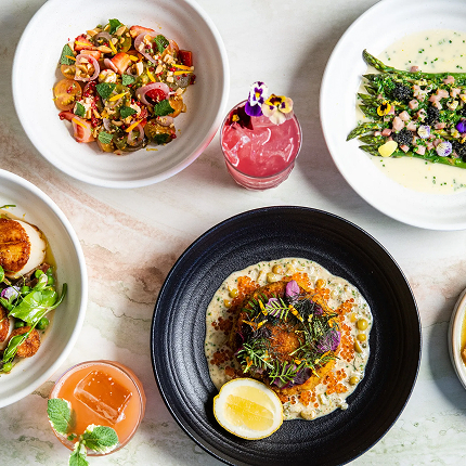 Overhead view of a curated coastal dining spread featuring gourmet entrées, fresh salads, citrus-garnished seafood, and a handcrafted cocktail on a light stone table.