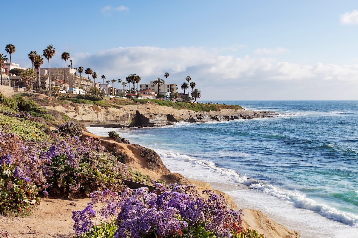 Coastal ocean view with rocky shoreline, purple wildflowers, and palm trees overlooking a sunny seaside neighborhood